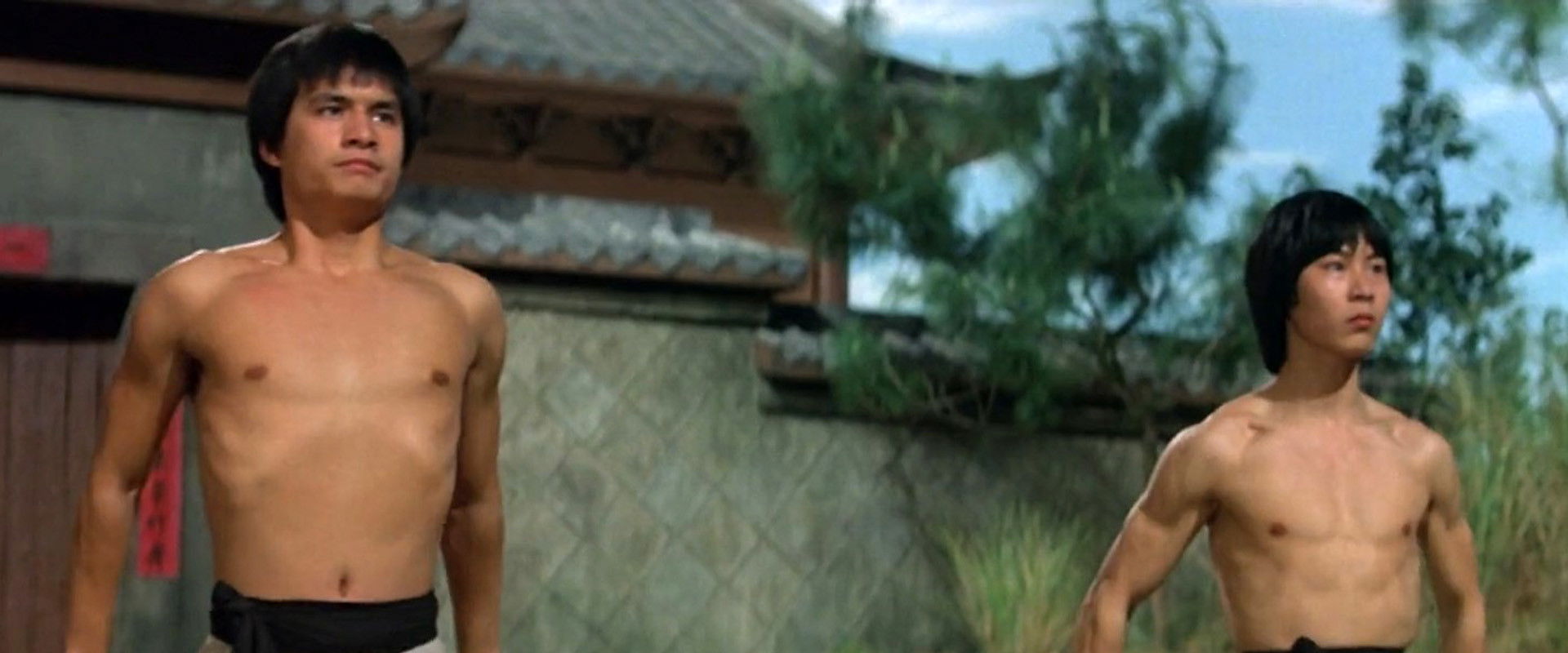 The New Shaolin Boxers backdrop