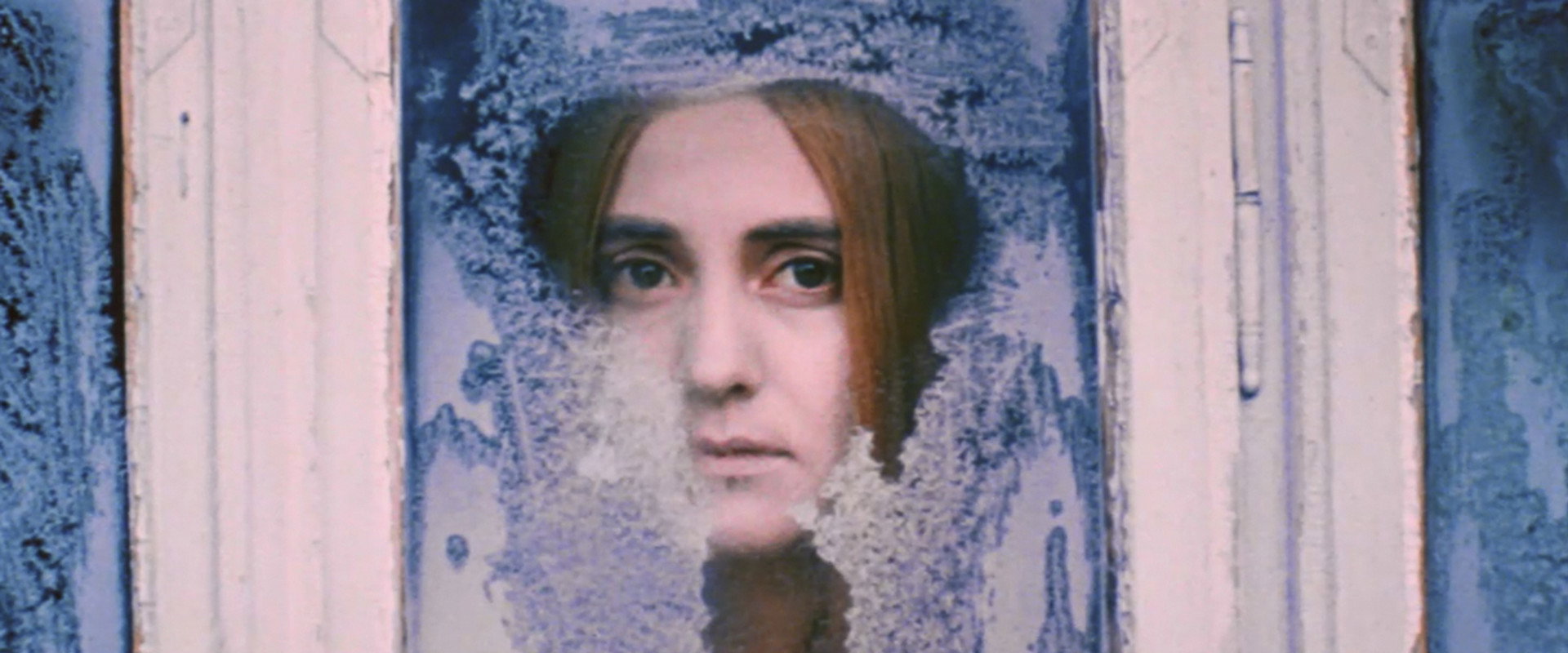 The White Bird Marked with Black backdrop