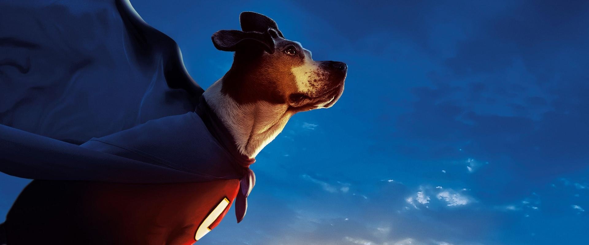 Underdog backdrop