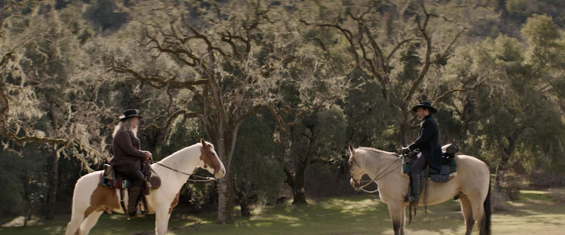 The Mediator backdrop