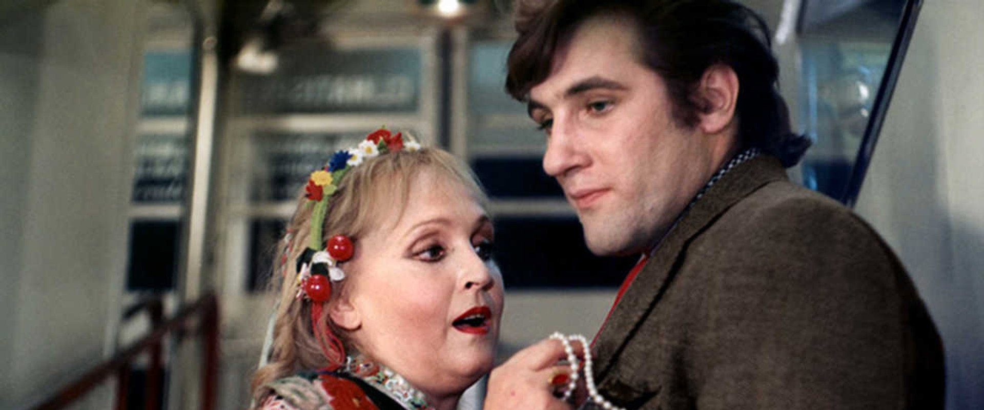 At Night All Cats Are Crazy backdrop