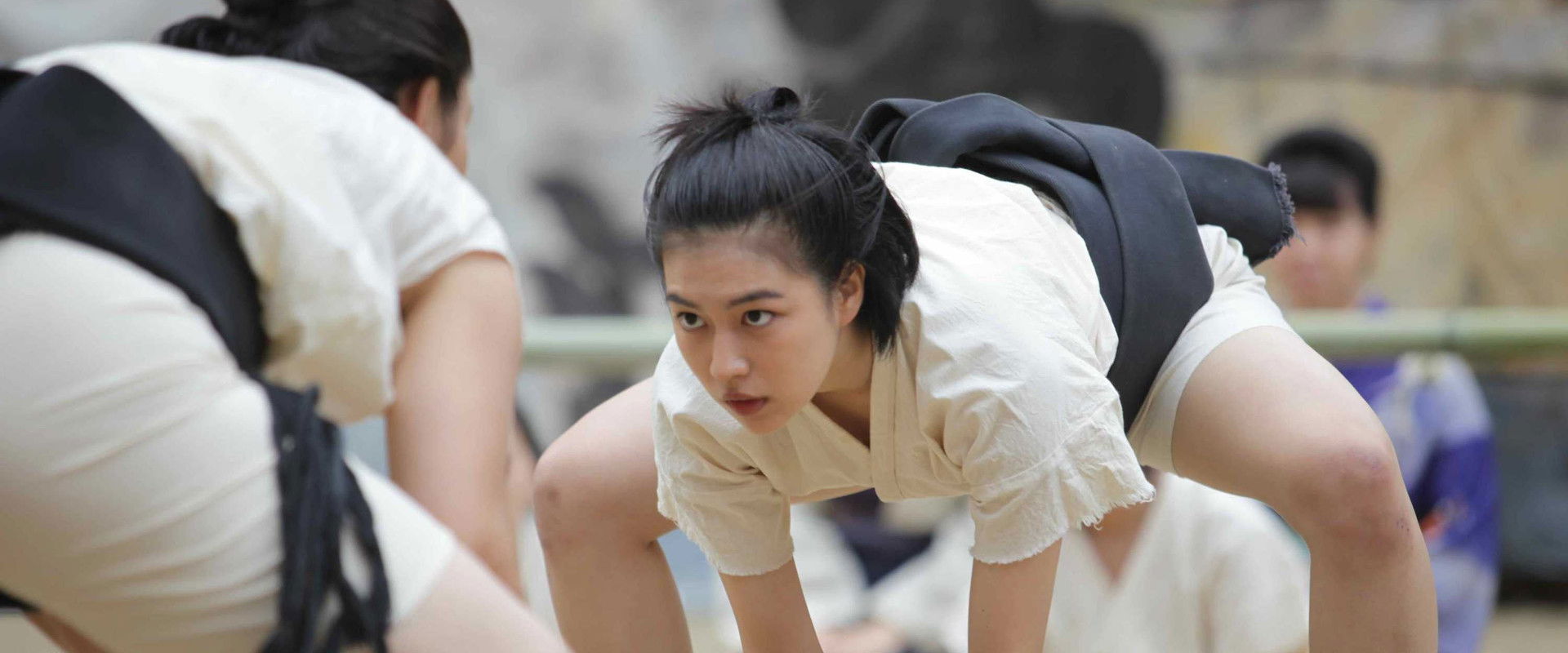 The Chrysanthemum and the Guillotine backdrop