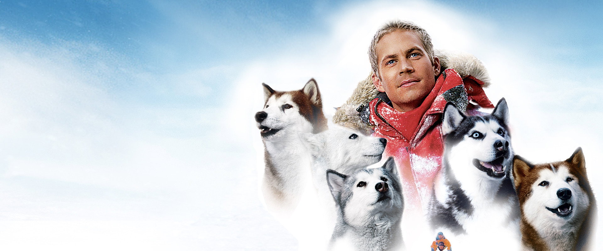 Eight Below backdrop