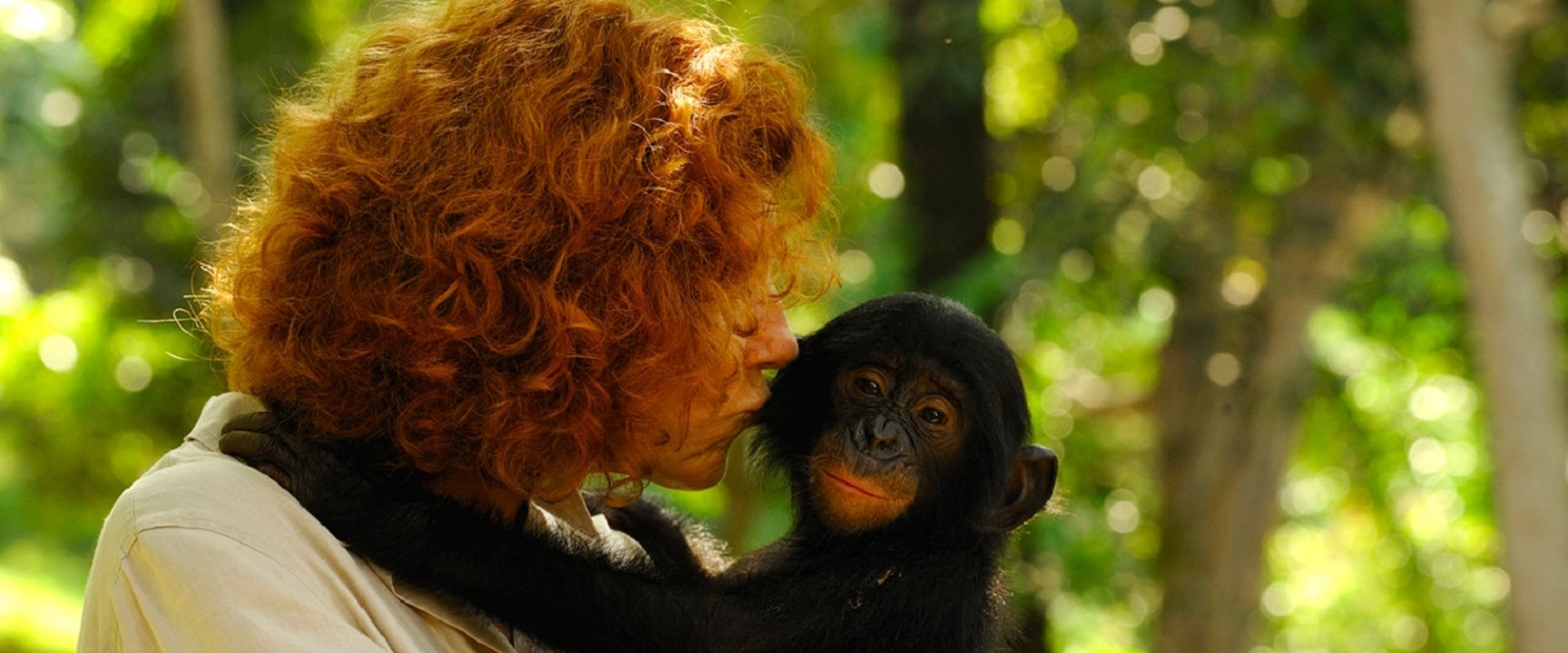 Bonobos: Back to the Wild