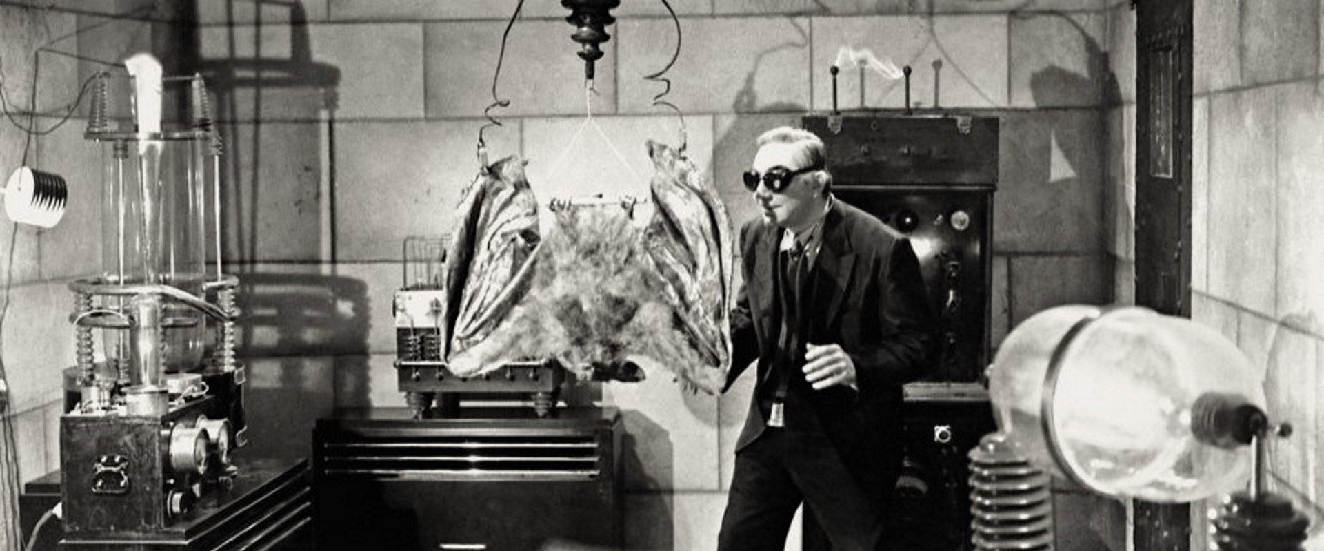 The Devil Bat backdrop