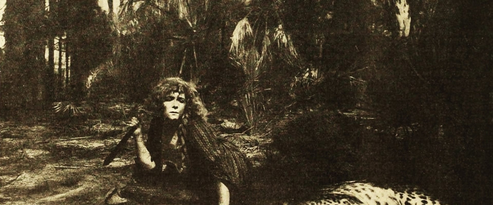 Lost in the Jungle backdrop