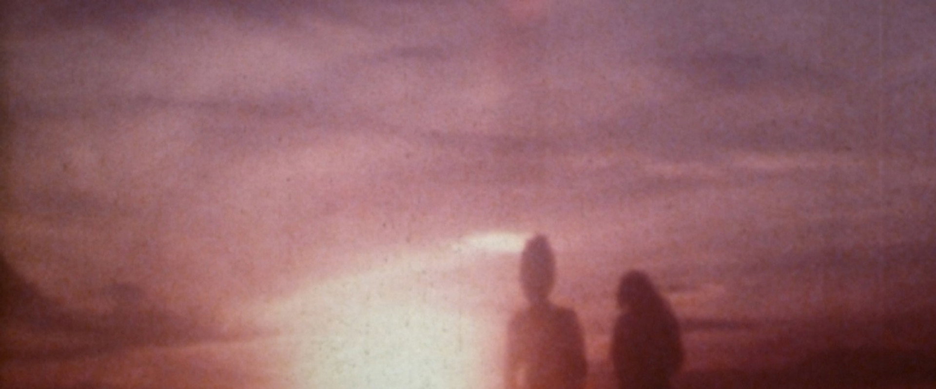 Tokyo Cabbageman K backdrop