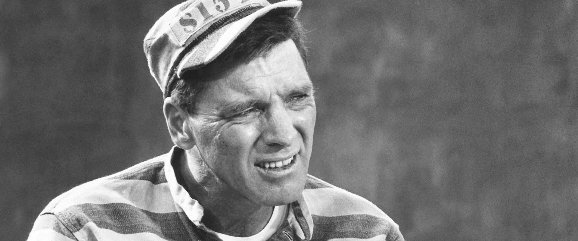 Birdman of Alcatraz backdrop