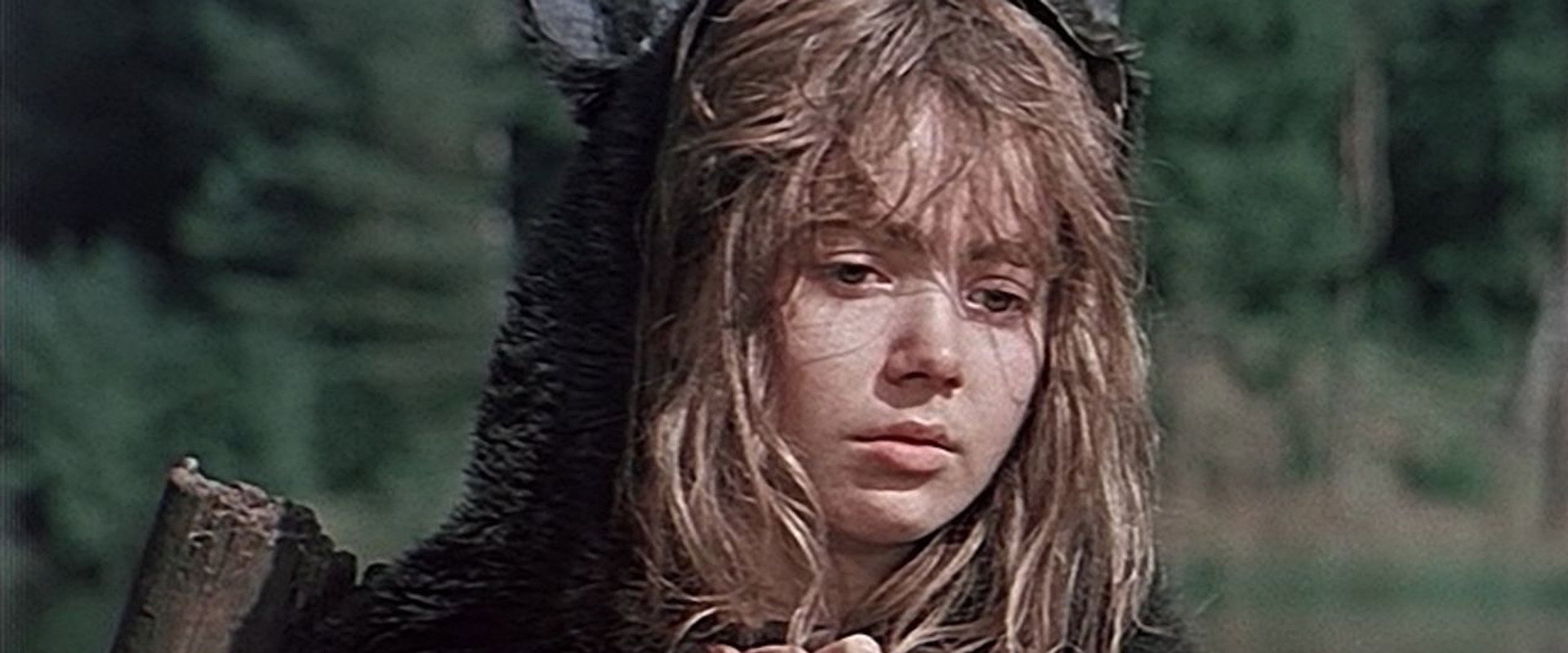 Donkey's Hide backdrop