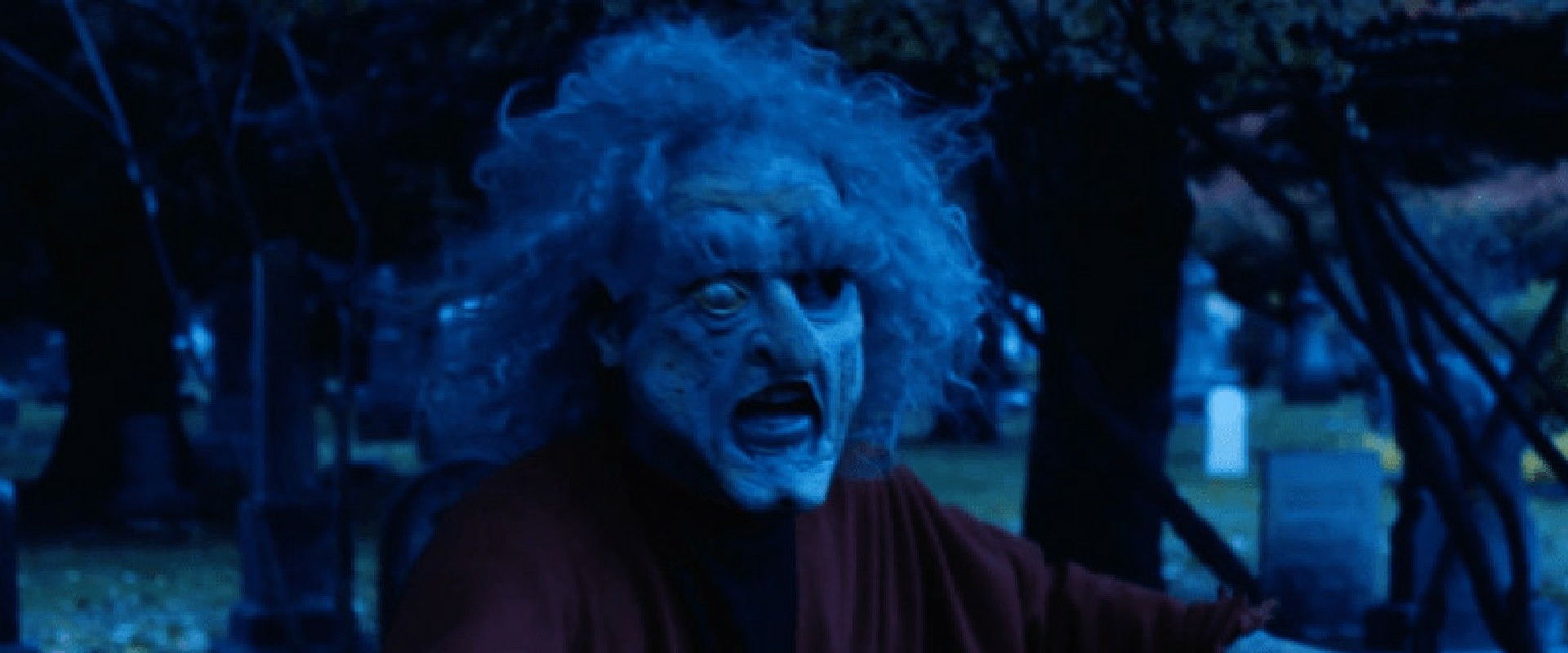 Spookie Dookie backdrop