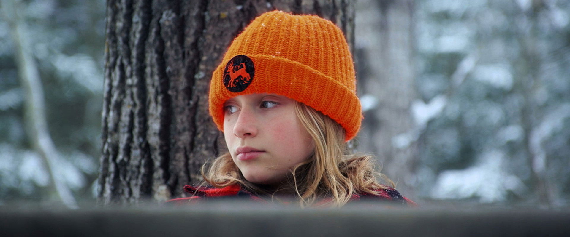 Cold November backdrop