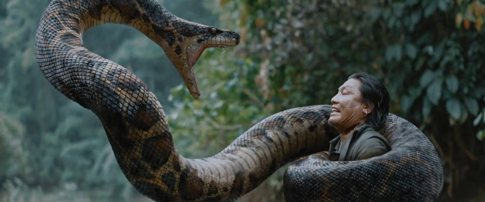 Anaconda backdrop