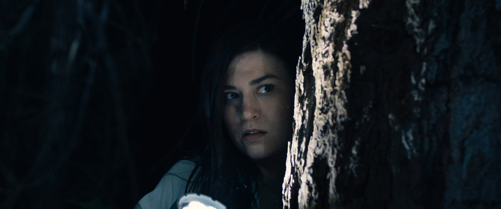 Stranger in the Woods backdrop