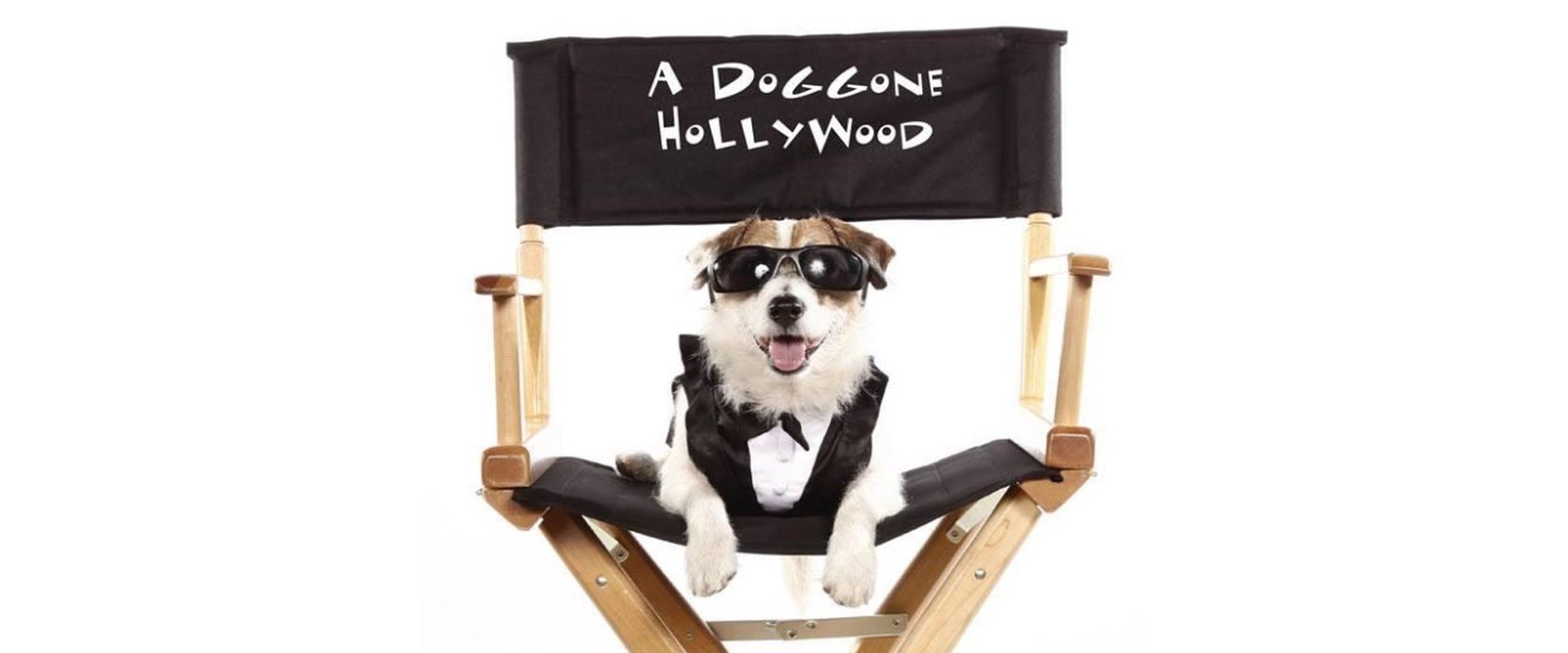 A Doggone Hollywood backdrop