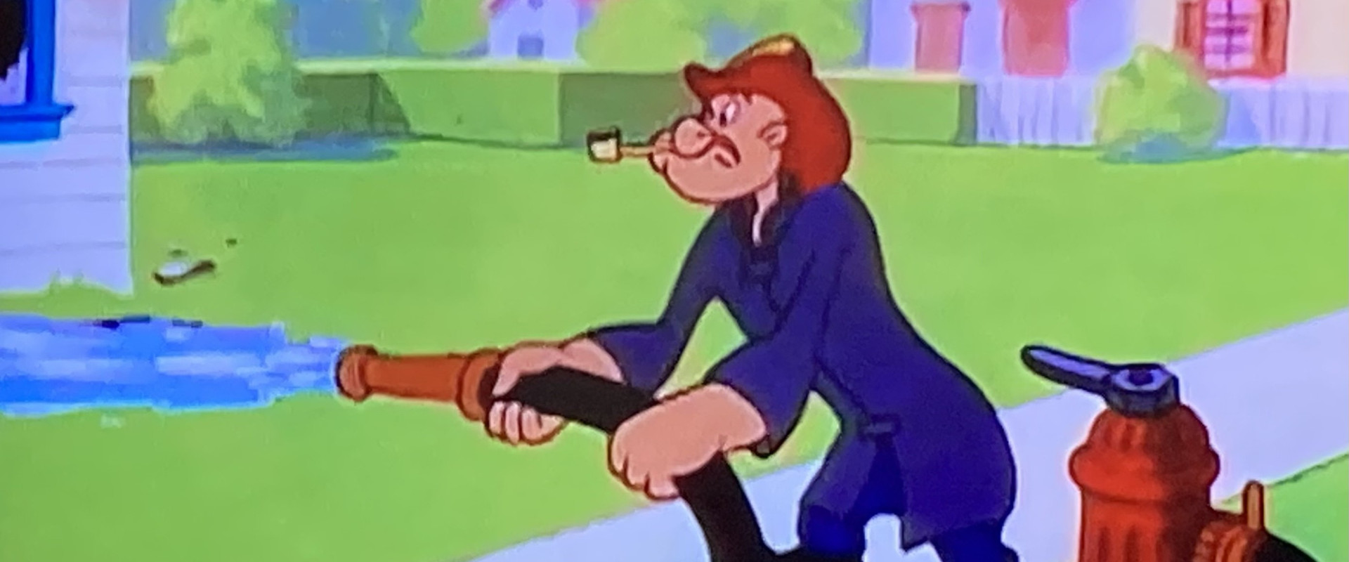 Firemen's Brawl backdrop