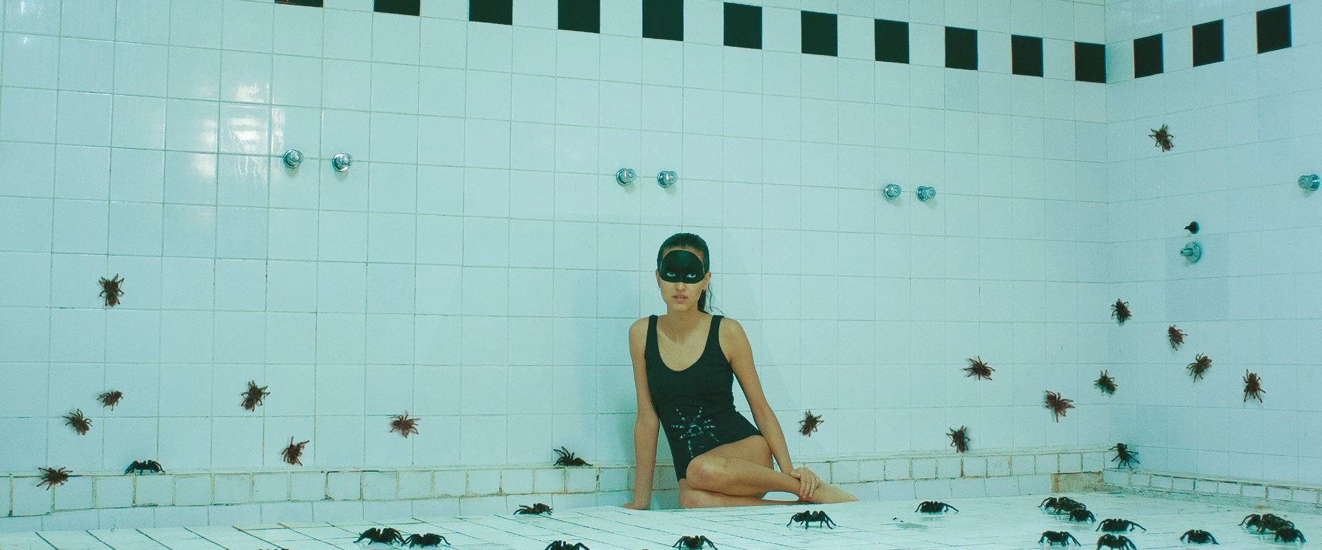 Arachnids backdrop