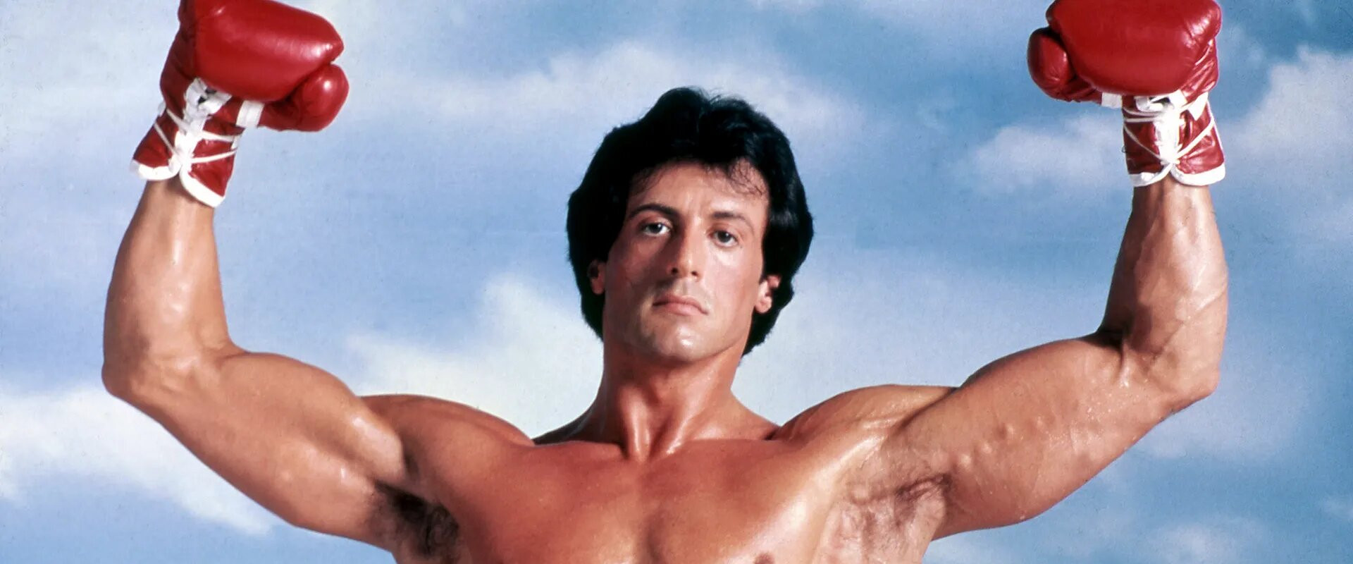 Stallone, profession héros backdrop
