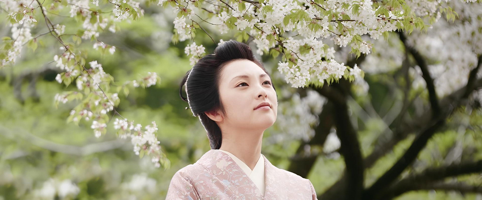 Yamazakura, The Cherry Tree in the Hills backdrop