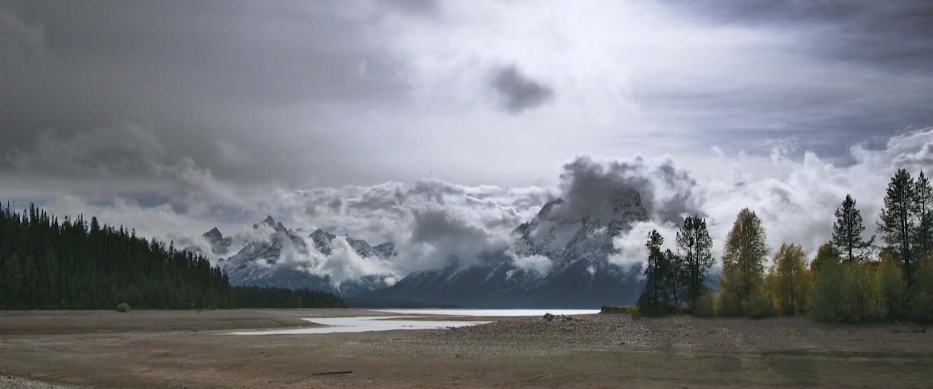 Population Zero backdrop