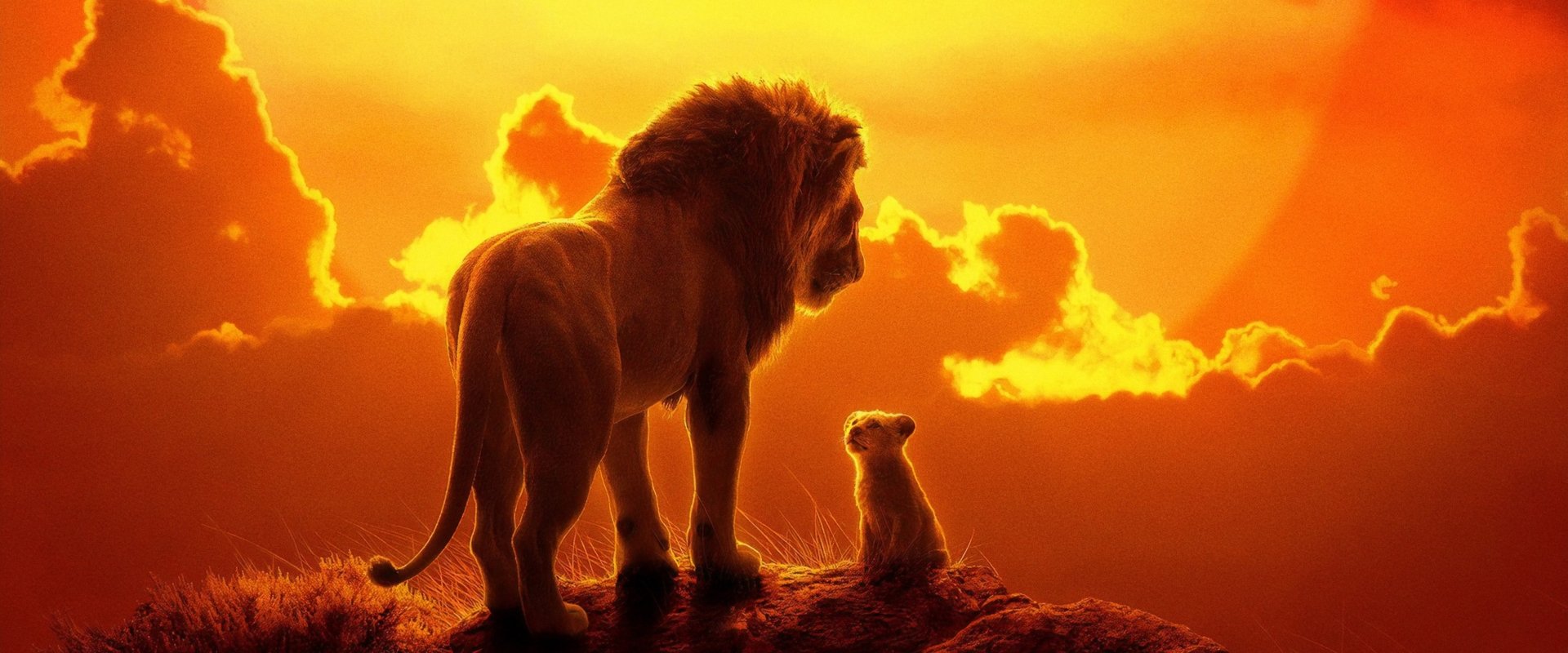 The Lion King backdrop