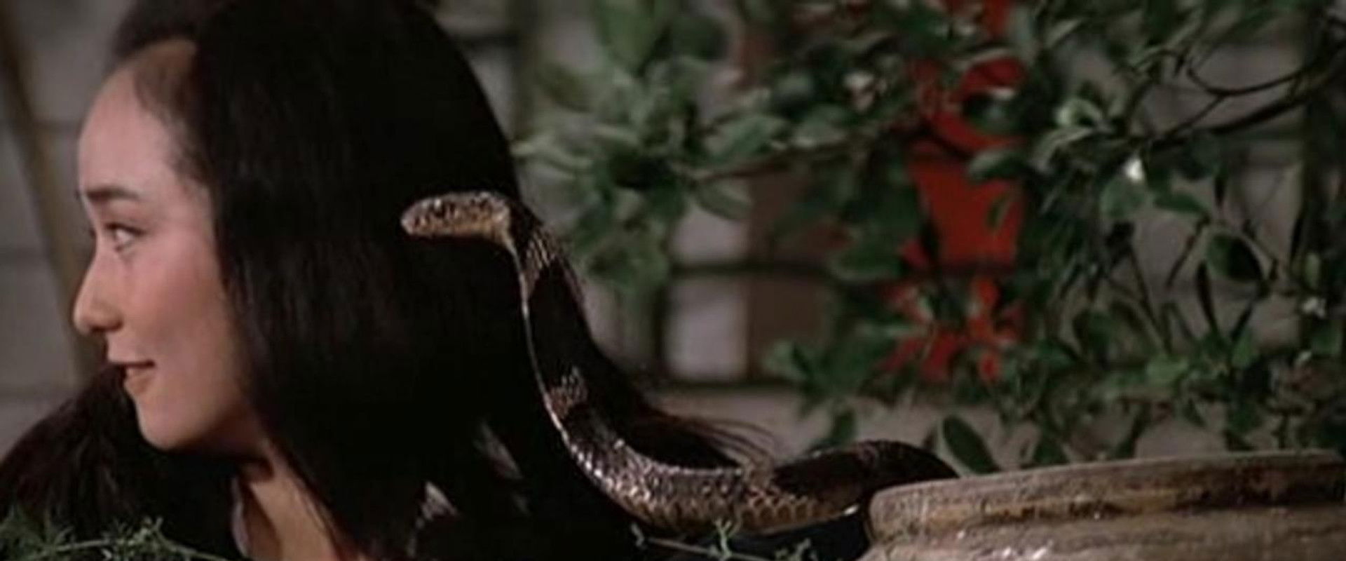 Fangs of the Cobra backdrop