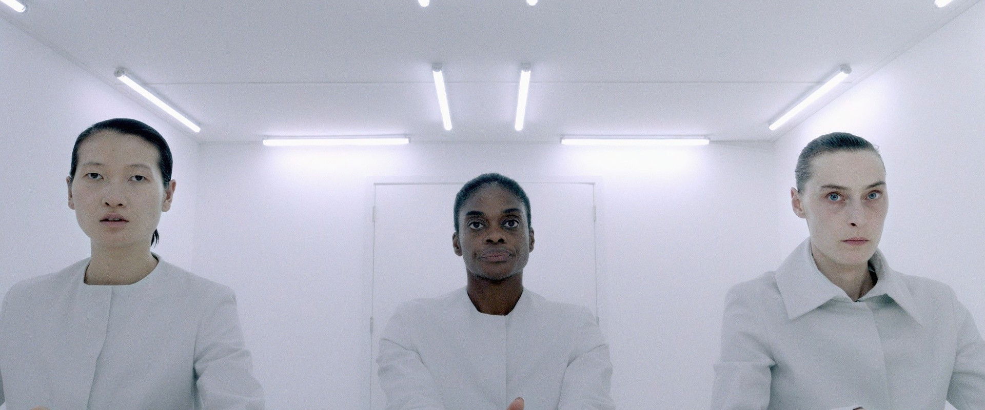 Animal Within backdrop