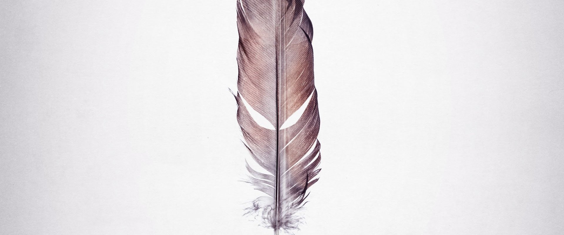 Tickled backdrop