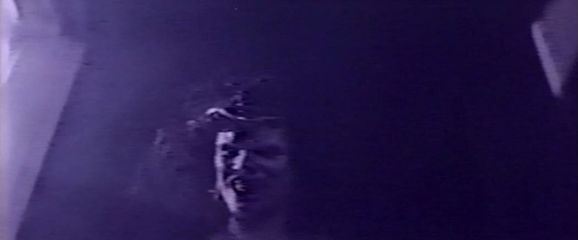 Halloween Party backdrop