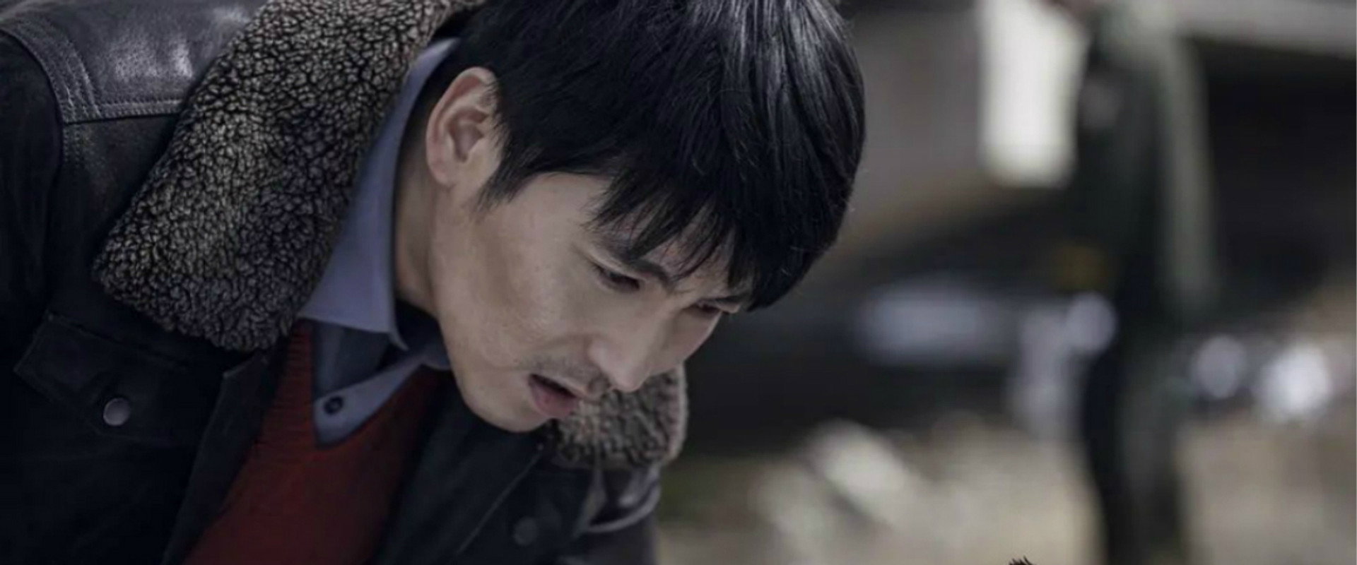 Bloody Daisy backdrop