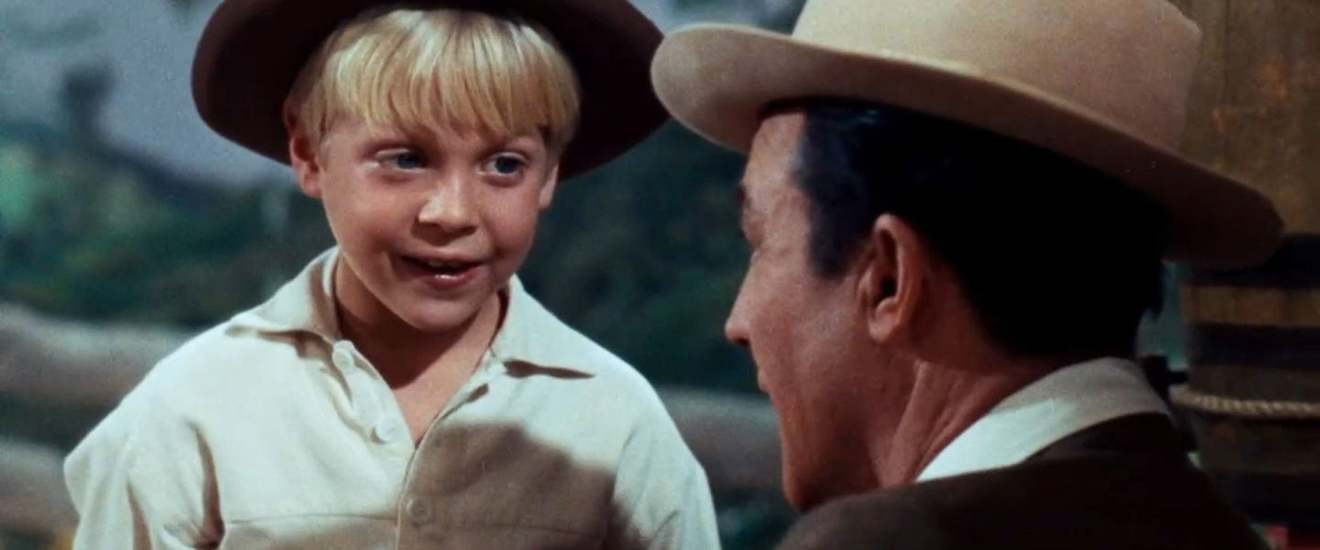 Jack and the Beanstalk backdrop