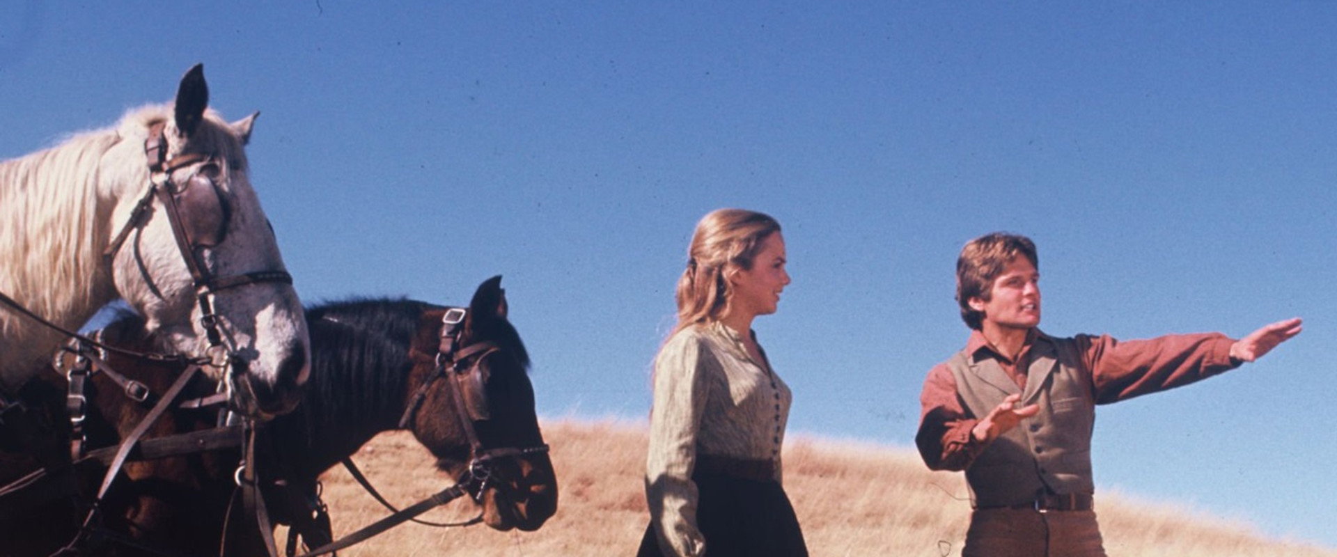 Young Pioneers backdrop