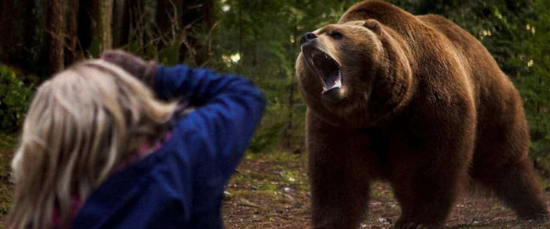 Grizzly Rage