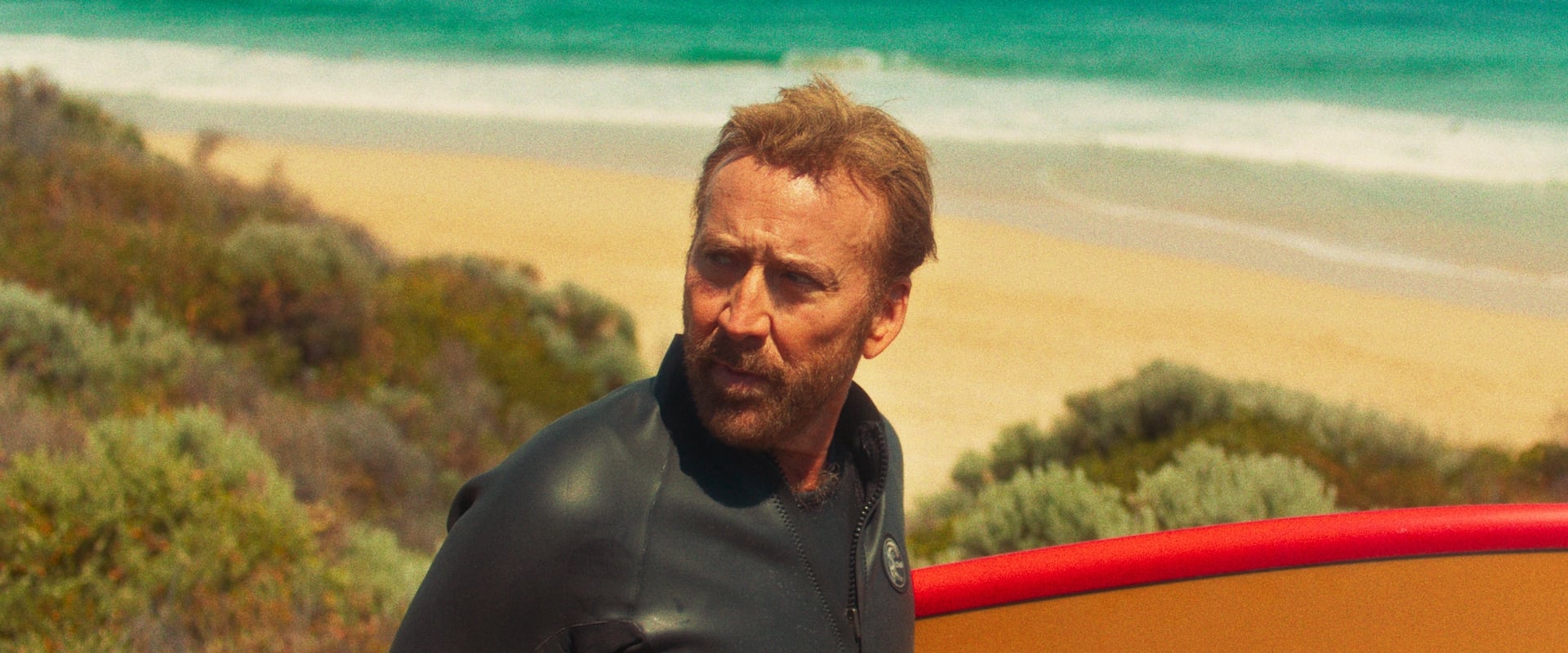 The Surfer backdrop