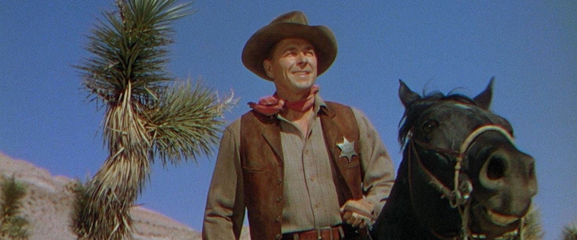 Law and Order backdrop