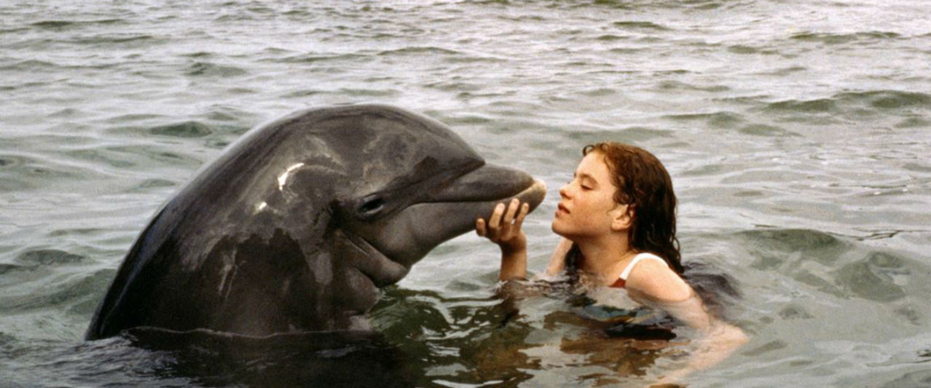 Tadpole and the Whale backdrop
