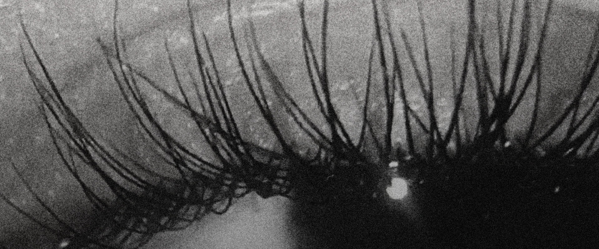 Eyes I backdrop