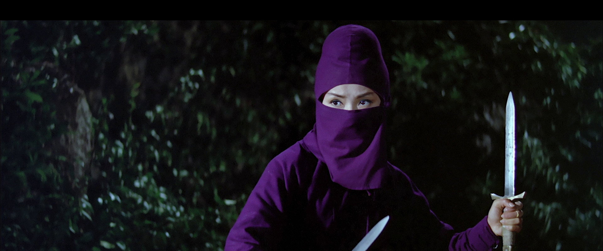 Black Butterfly backdrop