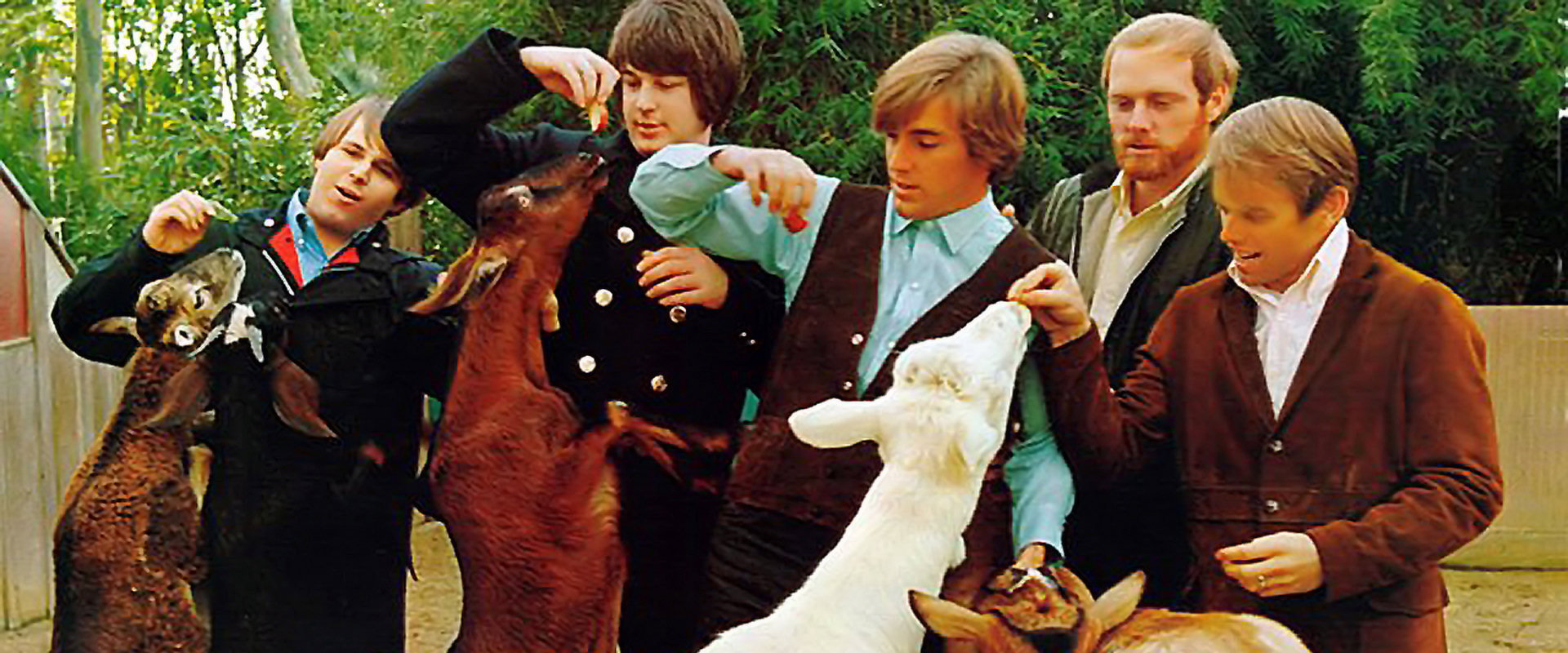 The Beach Boys: Endless Harmony backdrop