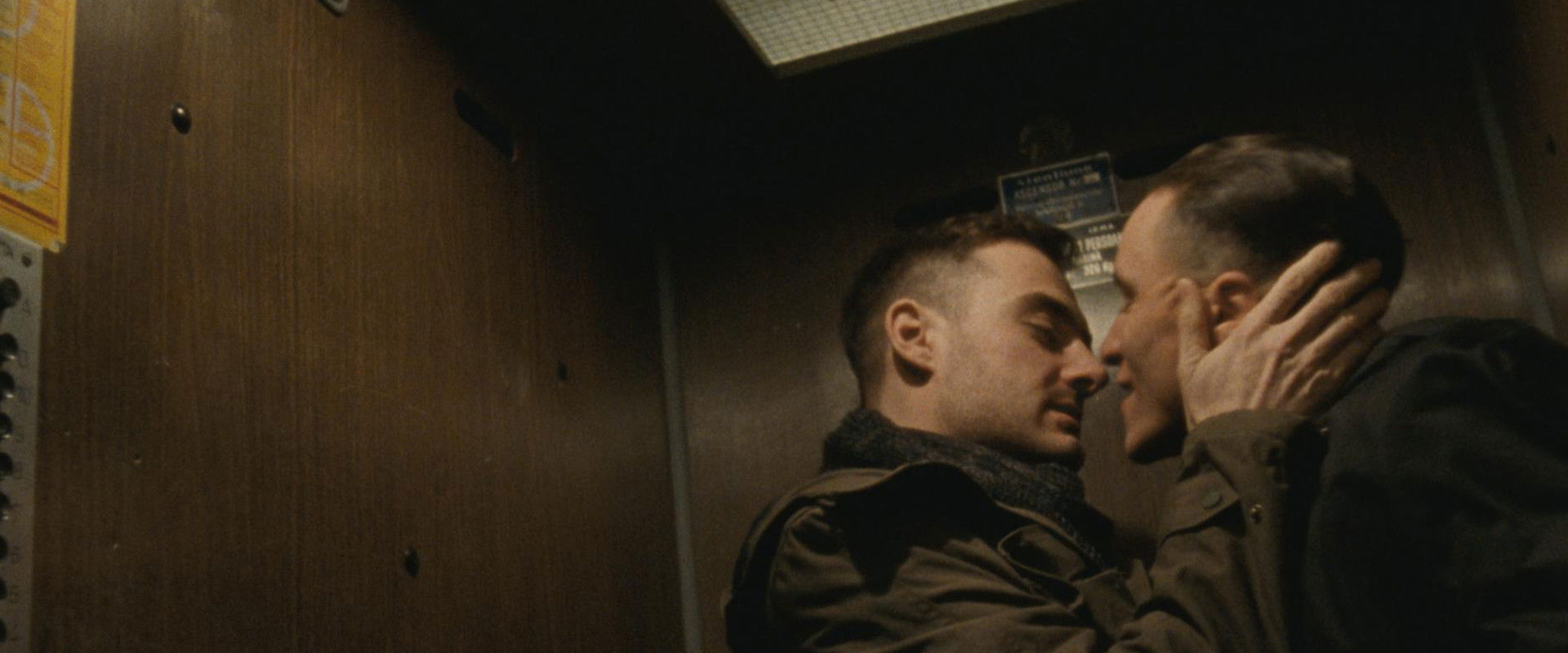 Poppy Field backdrop