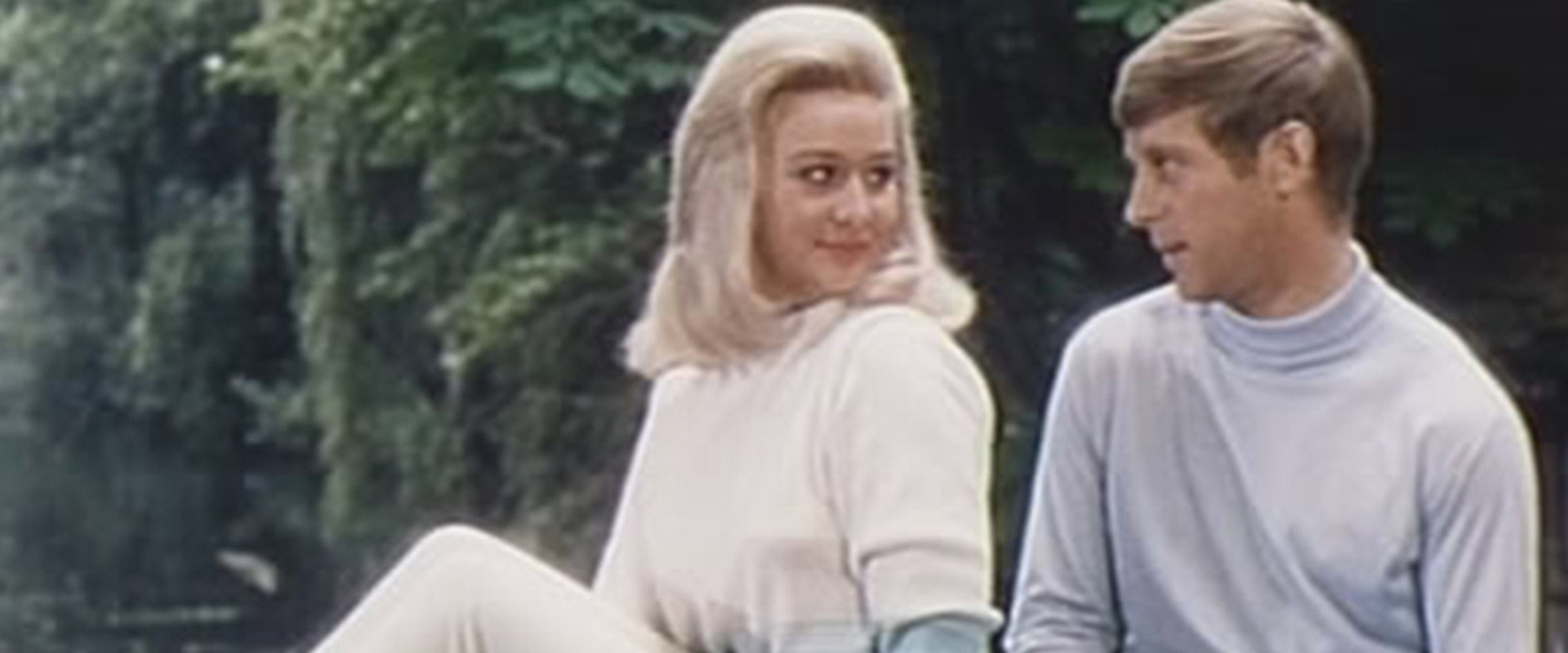 Every Day's a Holiday backdrop