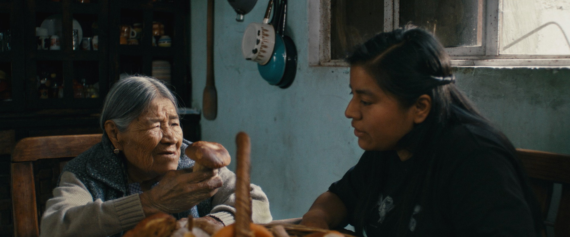 Daughters of the Forest backdrop