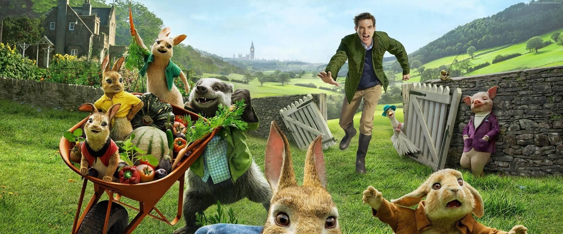 Peter Rabbit backdrop