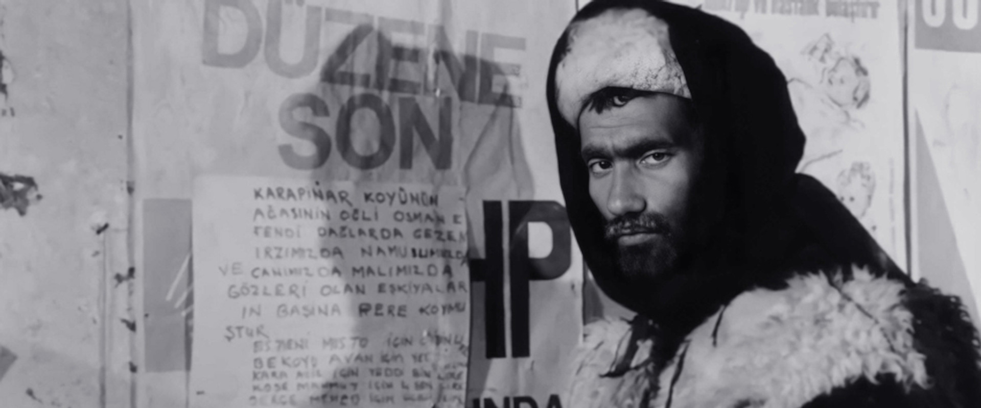 The Hungry Wolves backdrop