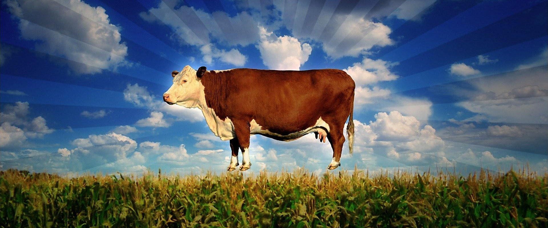 Food, Inc. backdrop