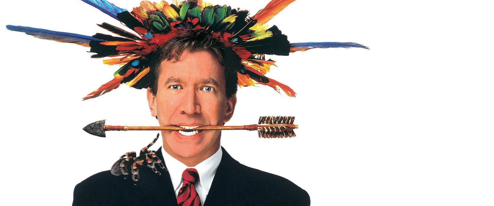 Jungle 2 Jungle backdrop