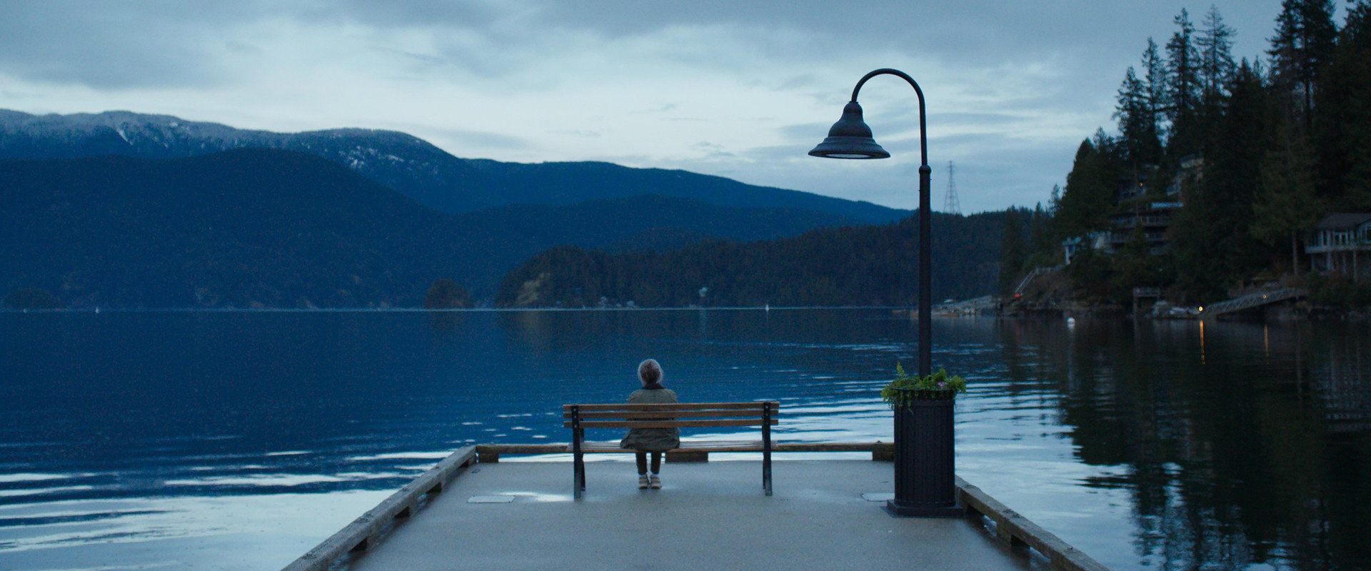 Remarkably Bright Creatures backdrop