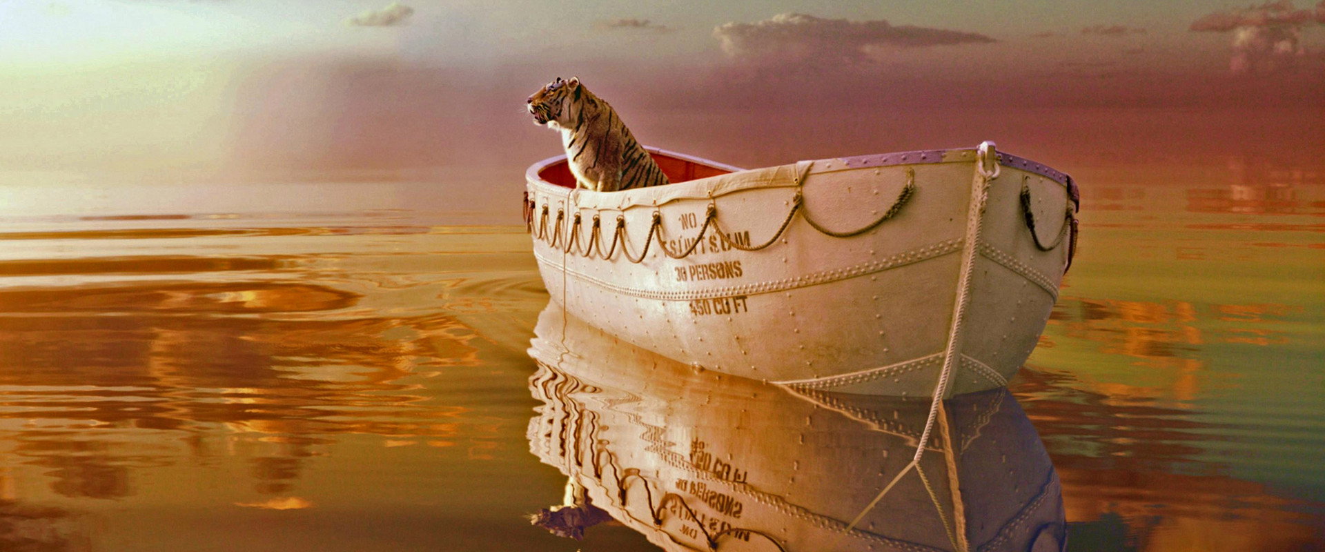 Life of Pi backdrop