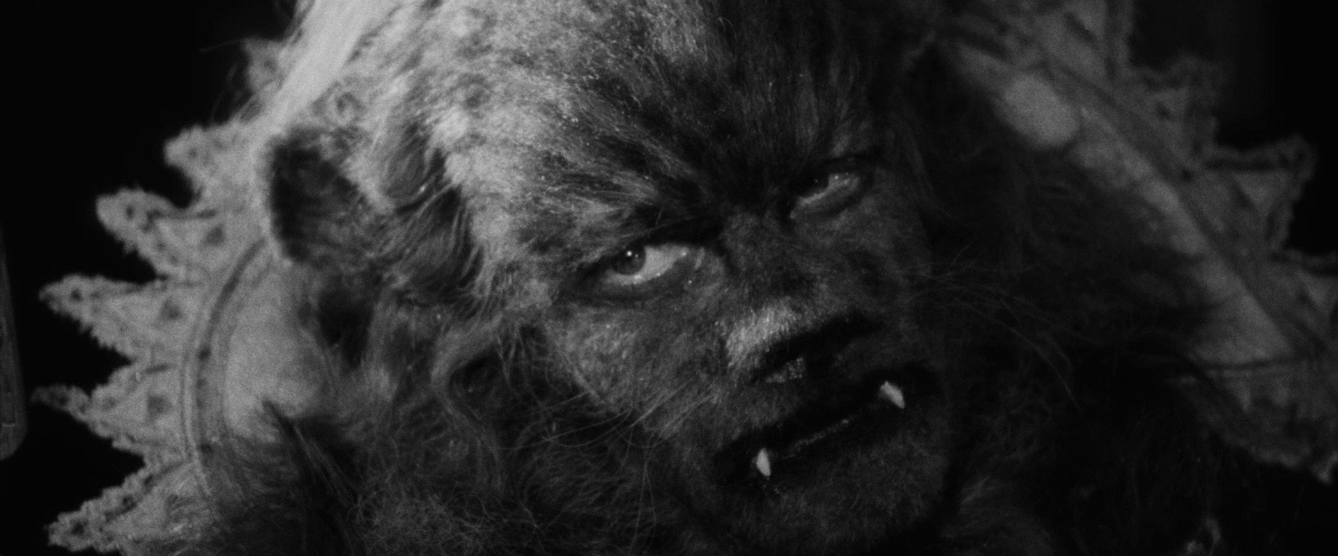 Beauty and the Beast backdrop