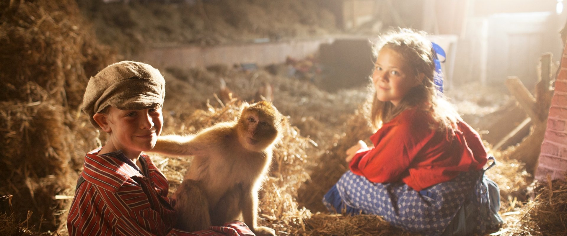Monkey Business backdrop