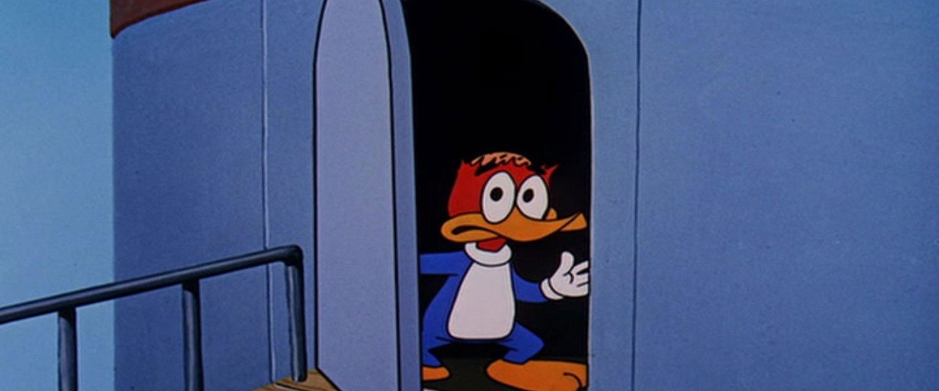 International Woodpecker backdrop